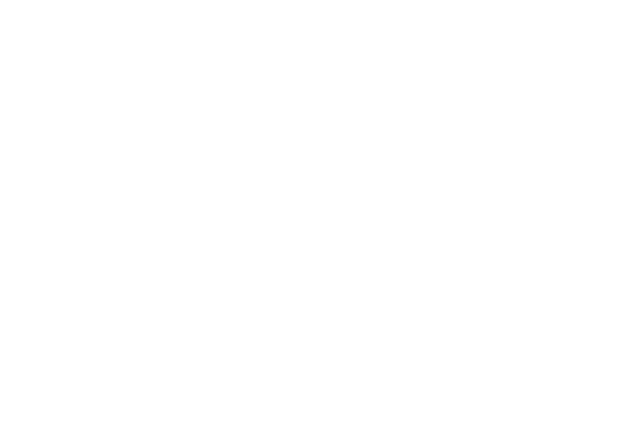 meier tobler